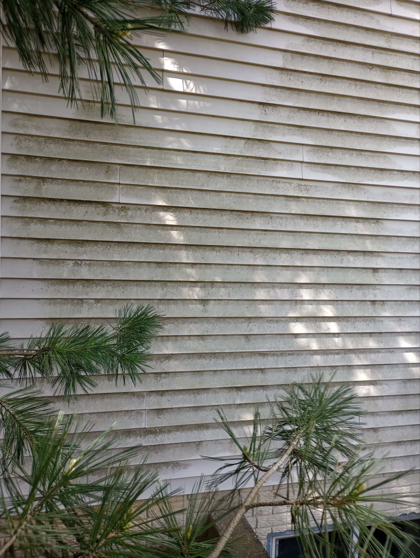 Concrete surface before pressure washing